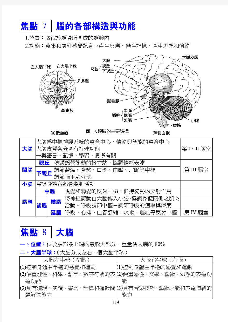 脑的各部构造与功能