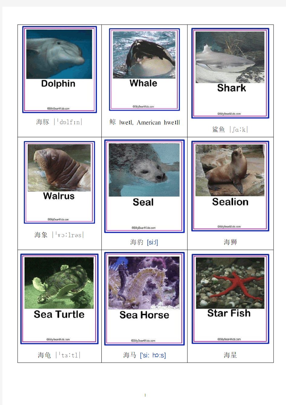 海洋动物英语单词