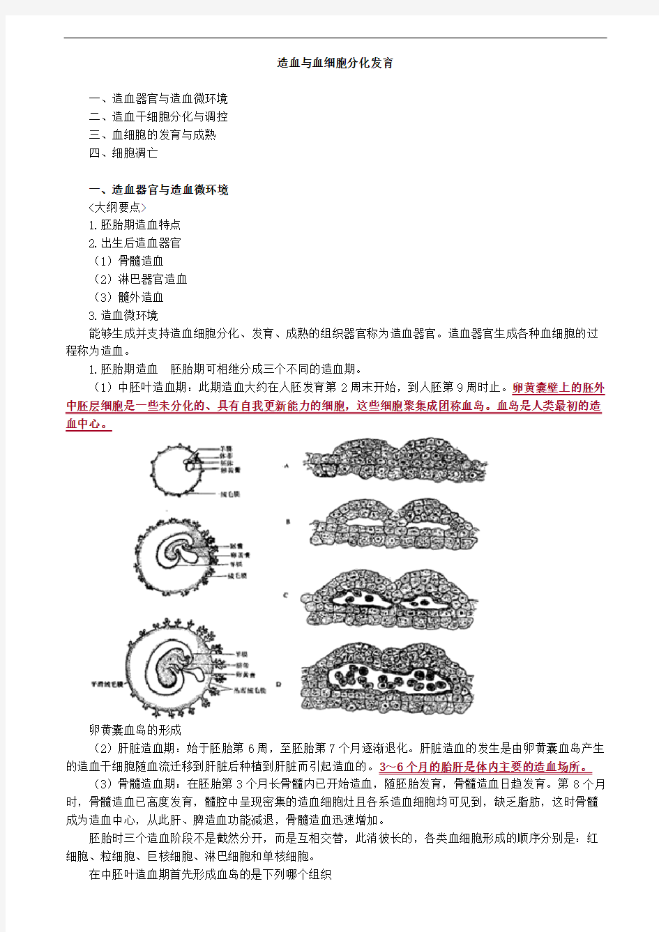 造血与血细胞分化发育考点总结