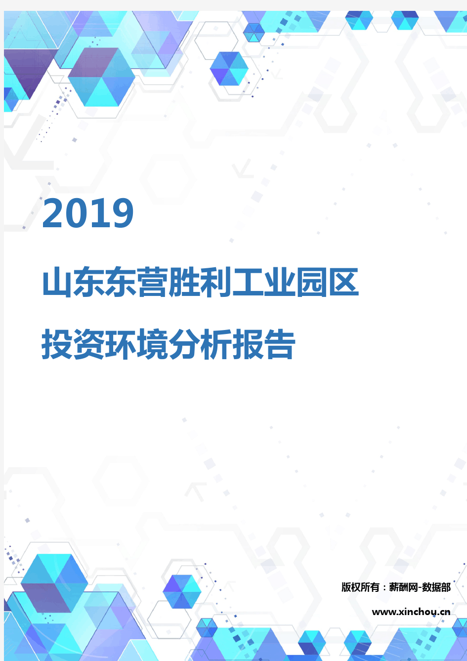 2019年山东东营胜利工业园区投资环境报告