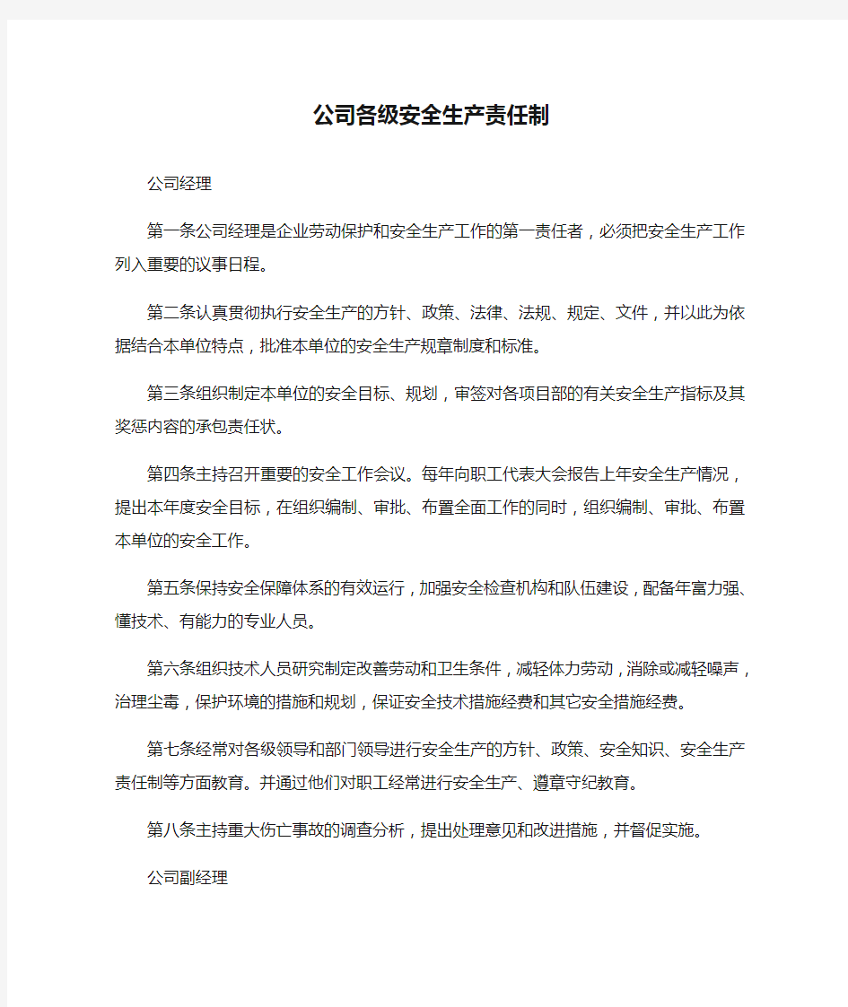 公司各级安全生产责任制