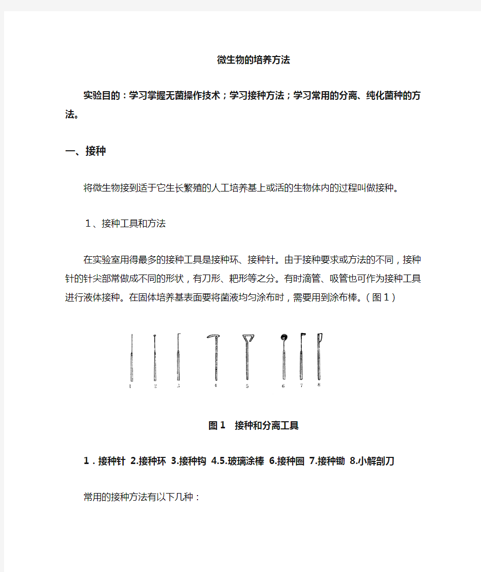 微生物培养方法