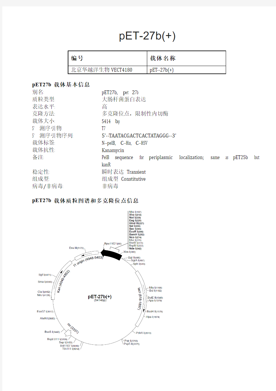 pET-27b(+)大肠杆菌表达载体说明