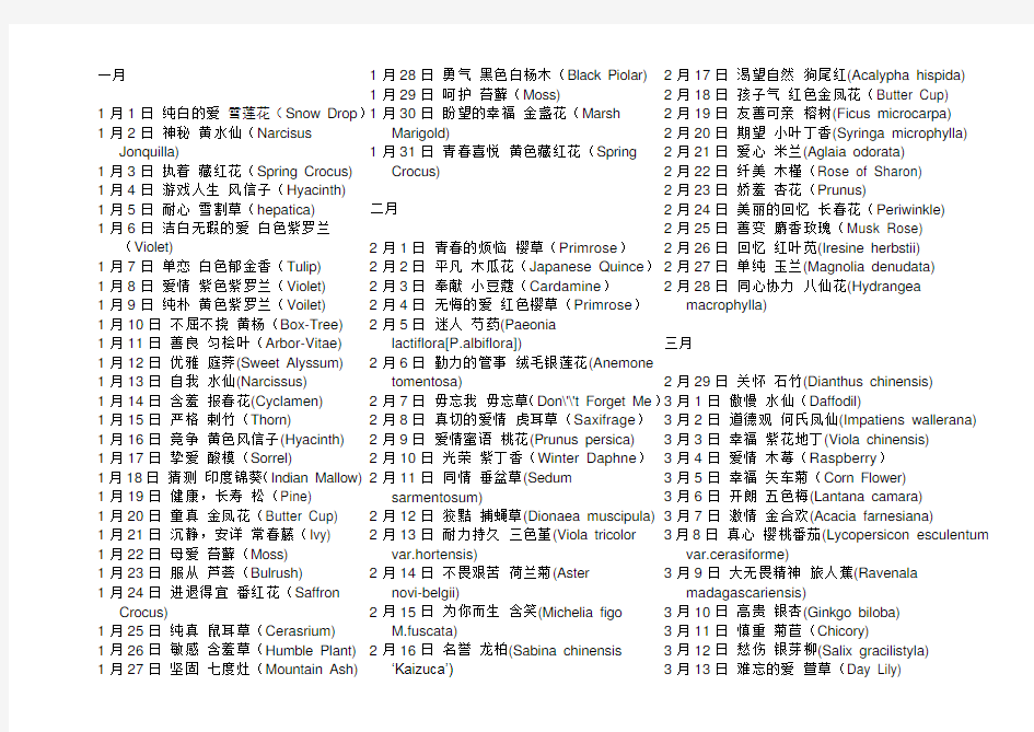 一至十二 的生日花及花语