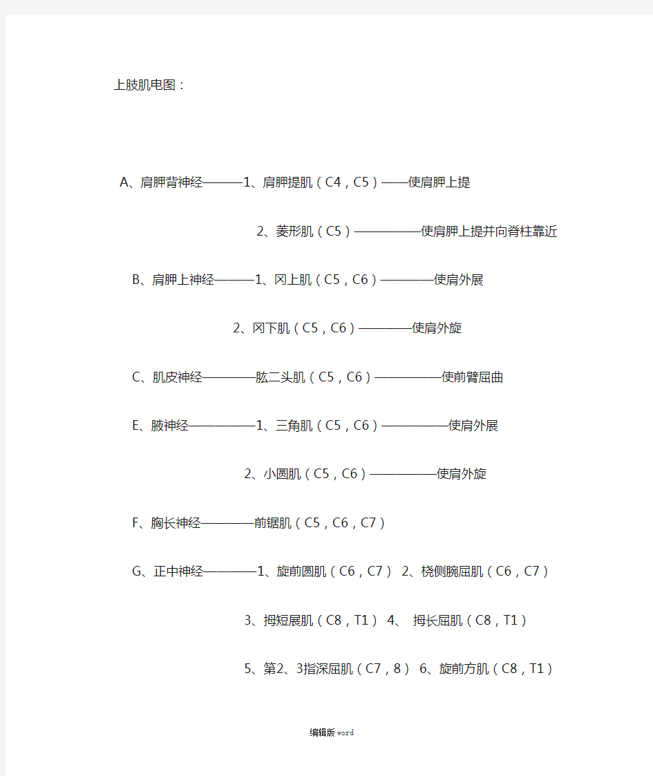 肌肉名称功能及神经支配