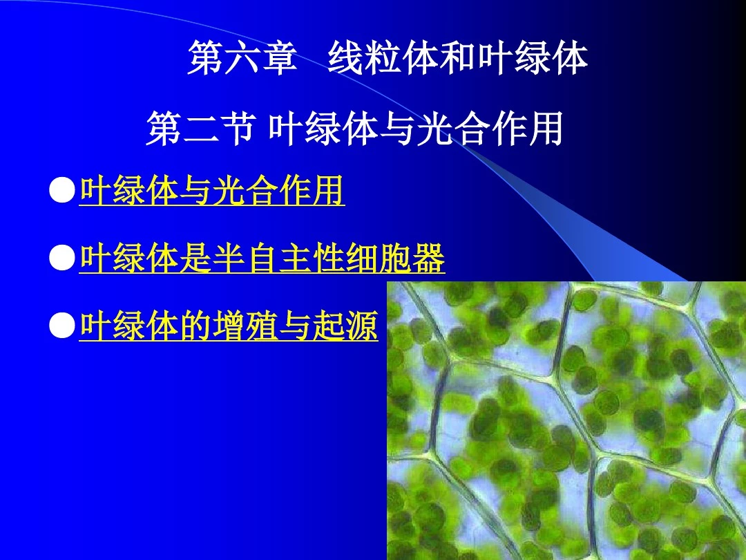 细胞生物学-第六章 叶绿体