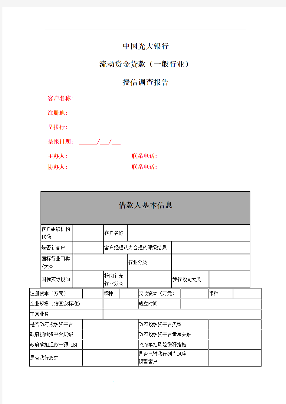 中国光大银行授信调查审查报告 (模版)