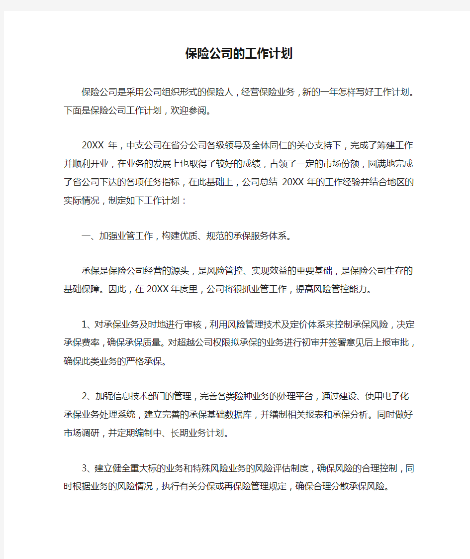 保险公司的工作计划