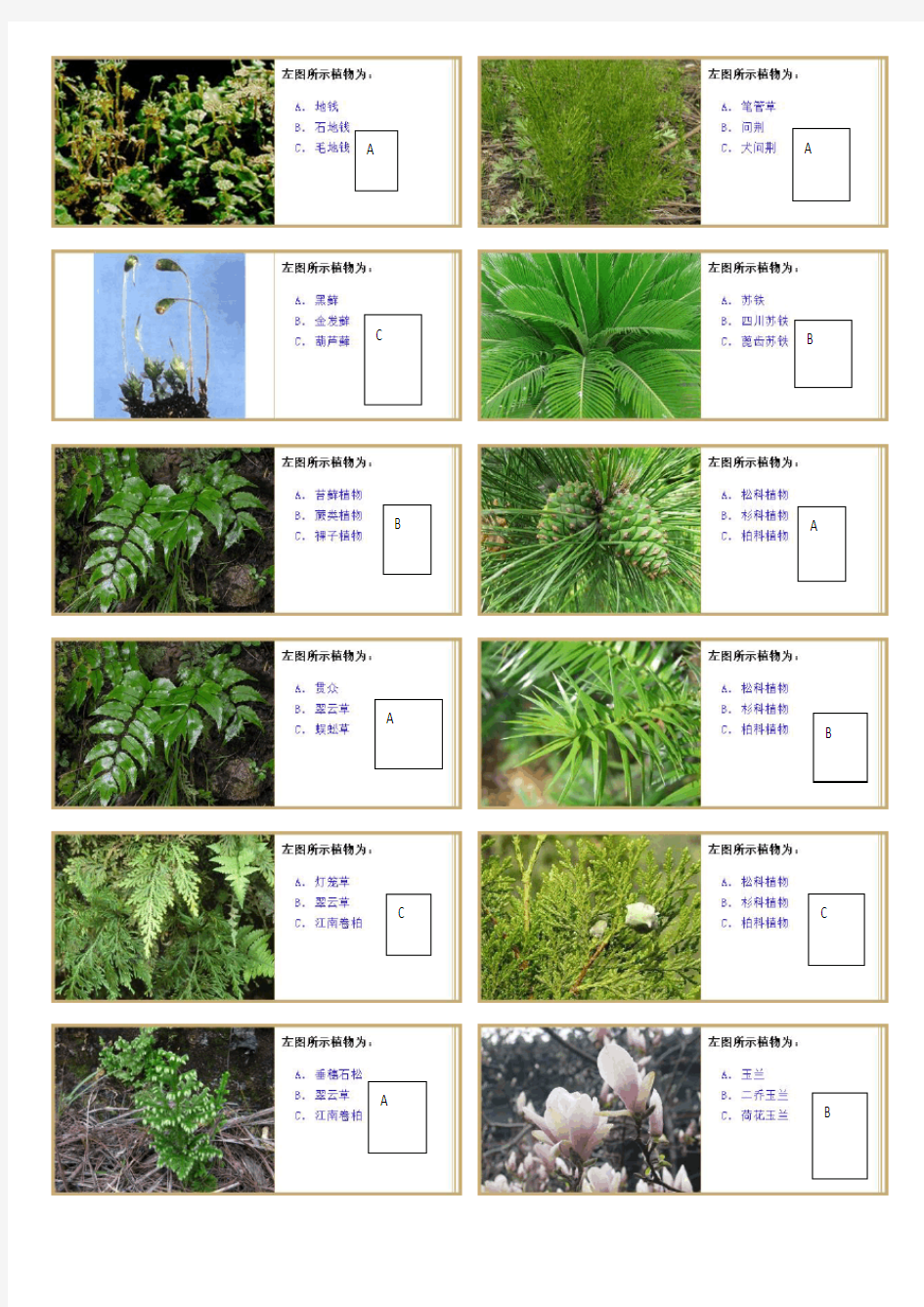 植物学实验题库