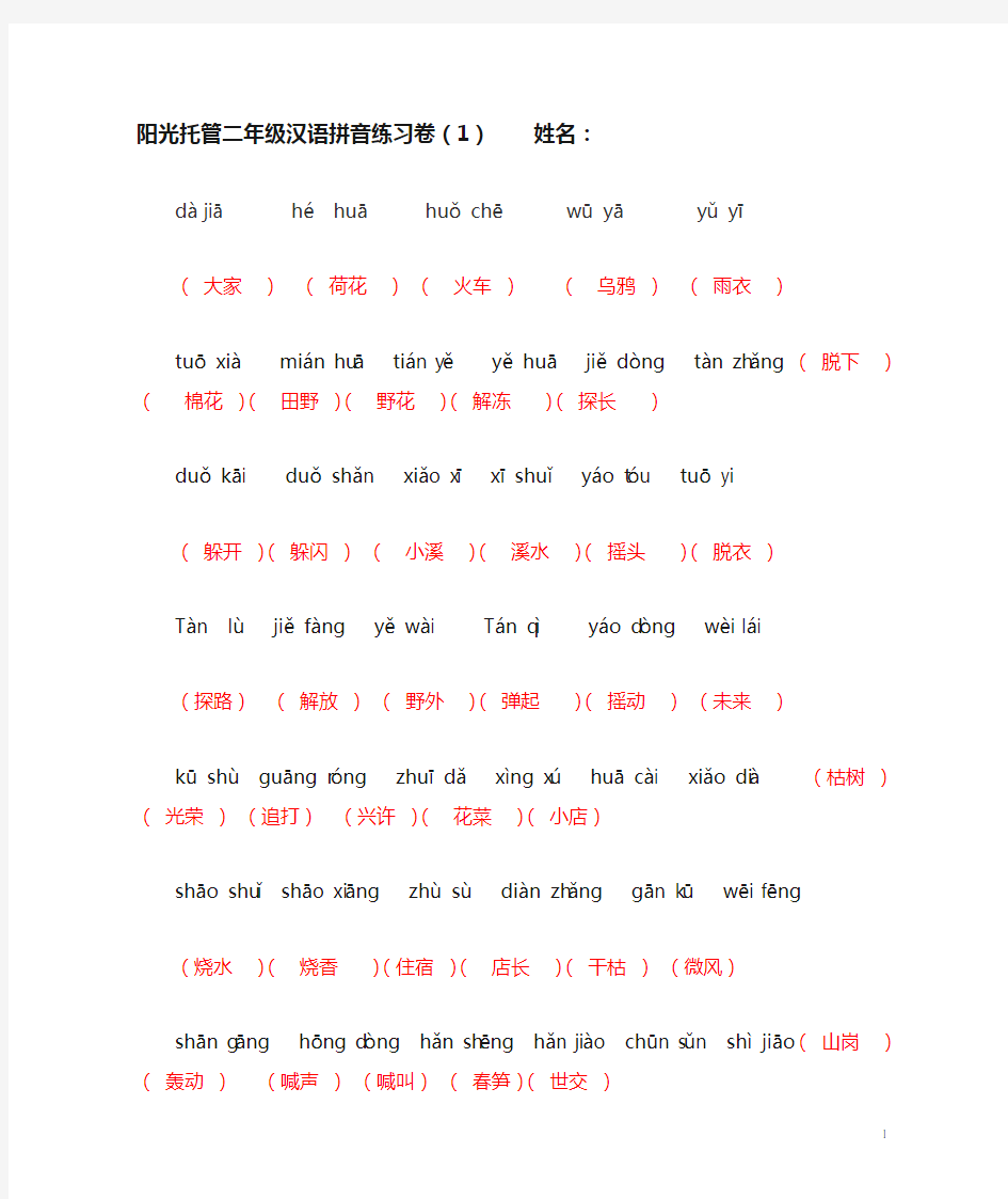 二年级汉语拼音练习卷