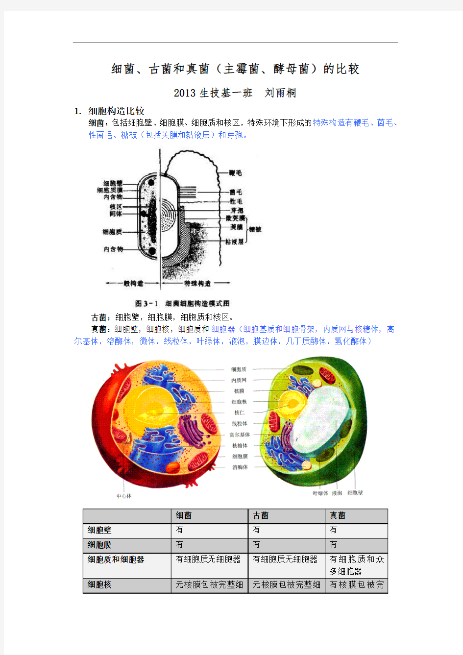 细菌、古菌和真菌(主霉菌、酵母菌)的比较