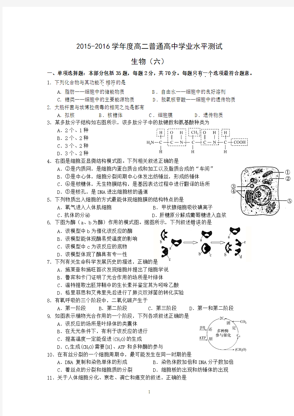 2015-2016学年度高二普通高中学业水平测试生物试题(六)