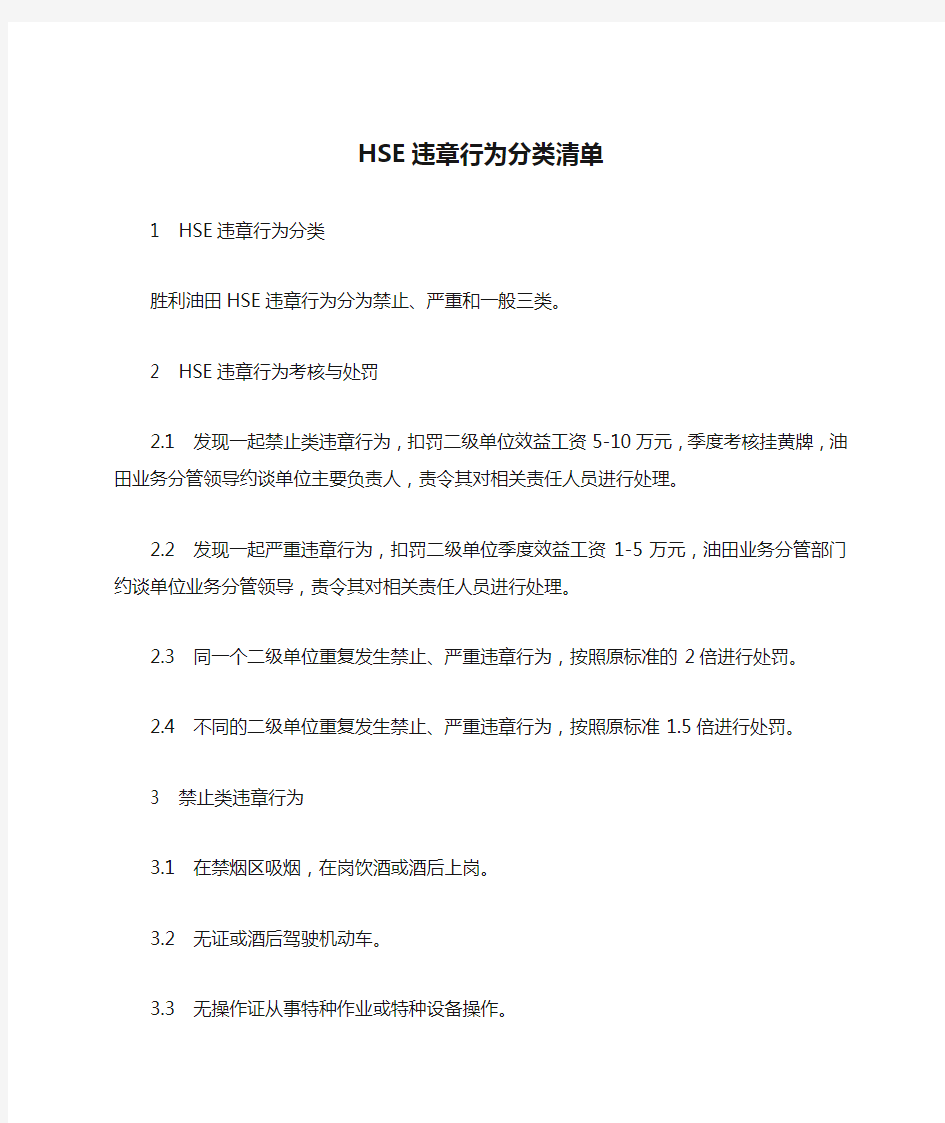 HSE违章行为分类清单