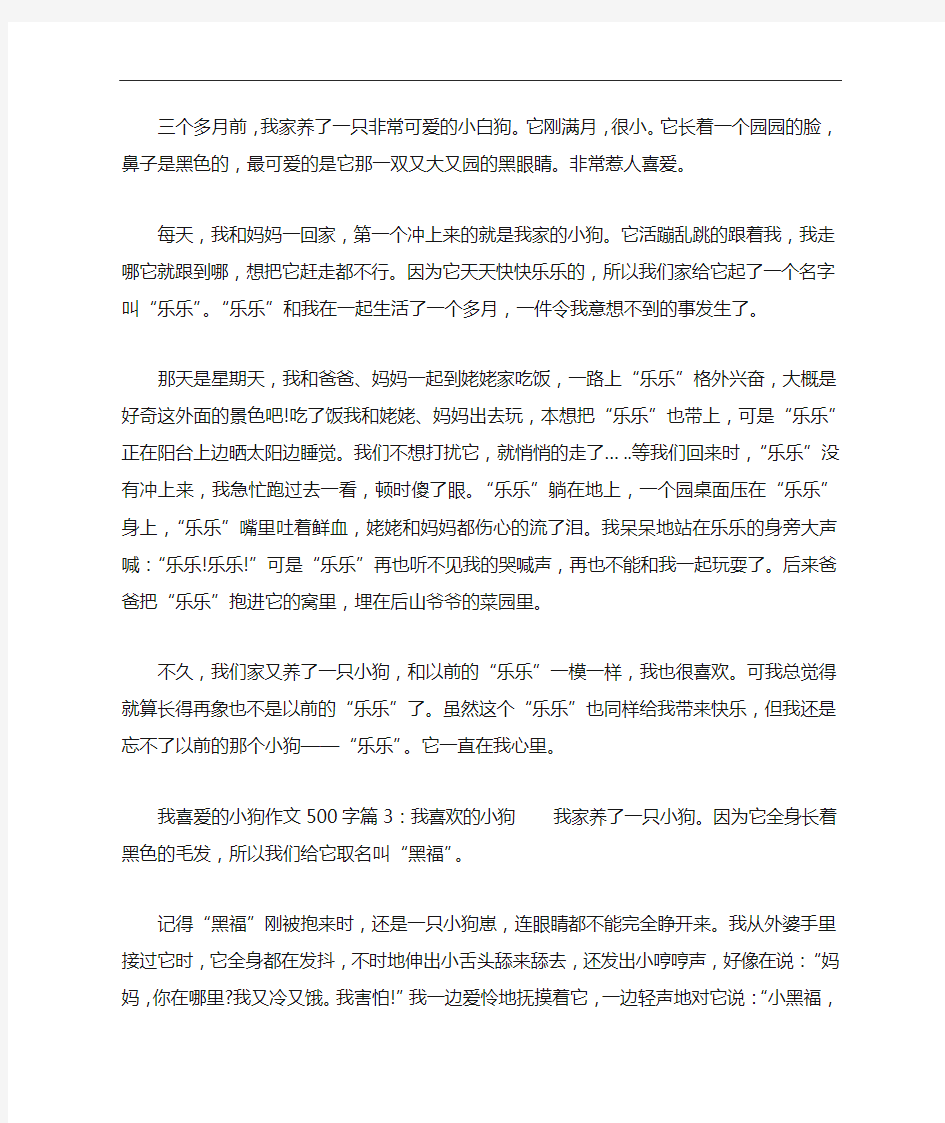 我喜爱的小狗作文500字：我最喜爱的小狗