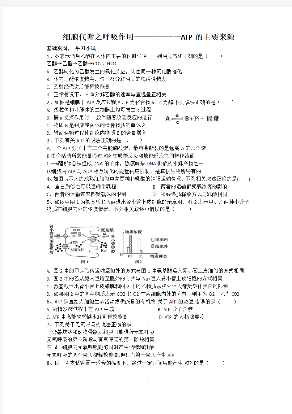 细胞的能量代谢