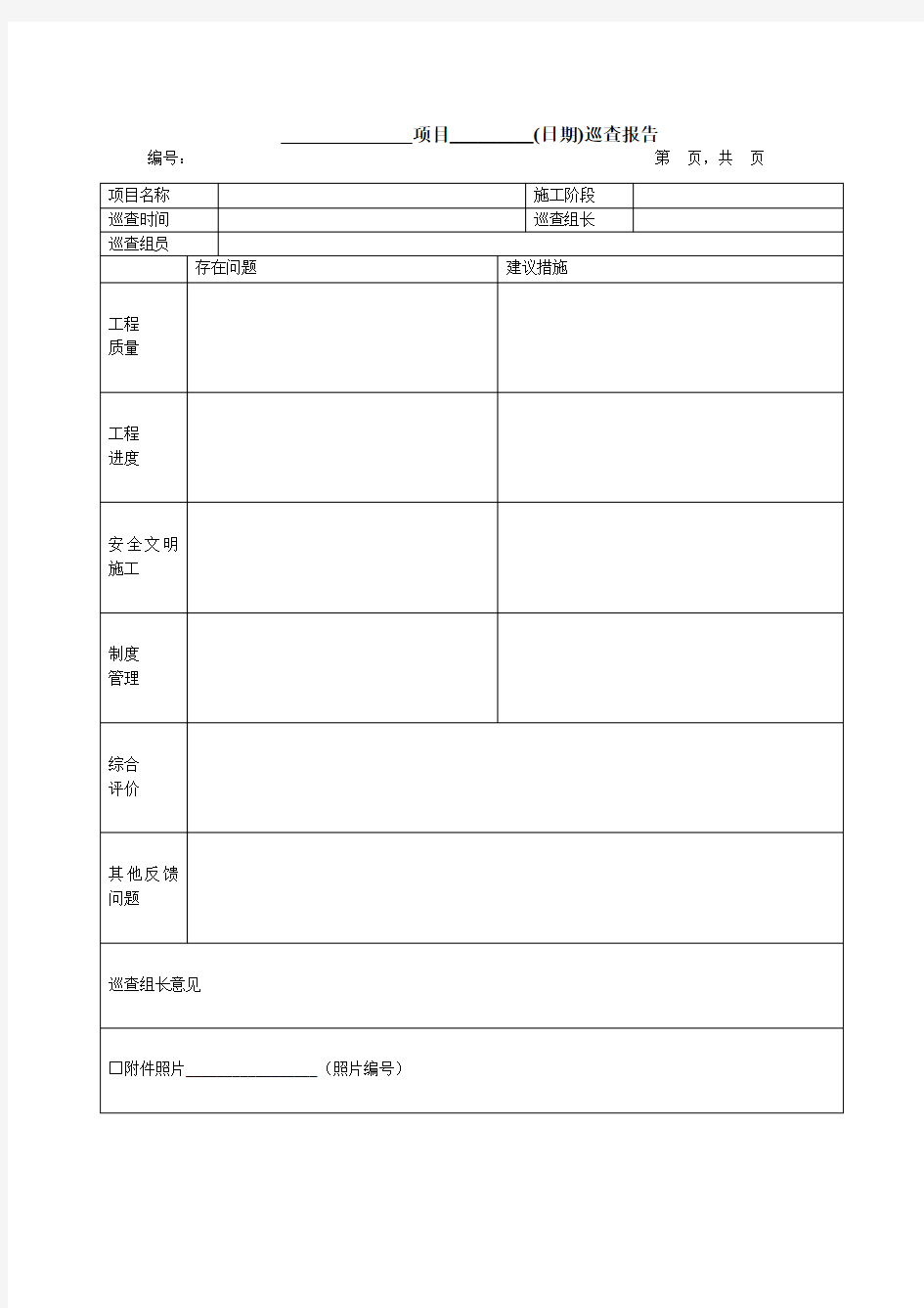 项目检查报告