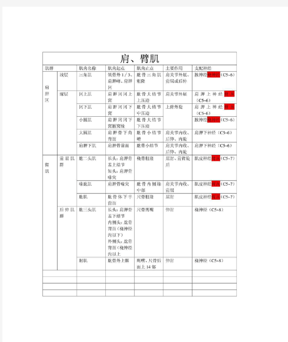 上肢肌肉分布、神经支配