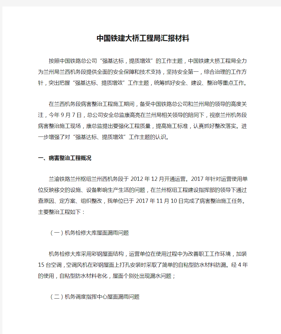 中国铁建大桥工程局汇报材料(12.11)