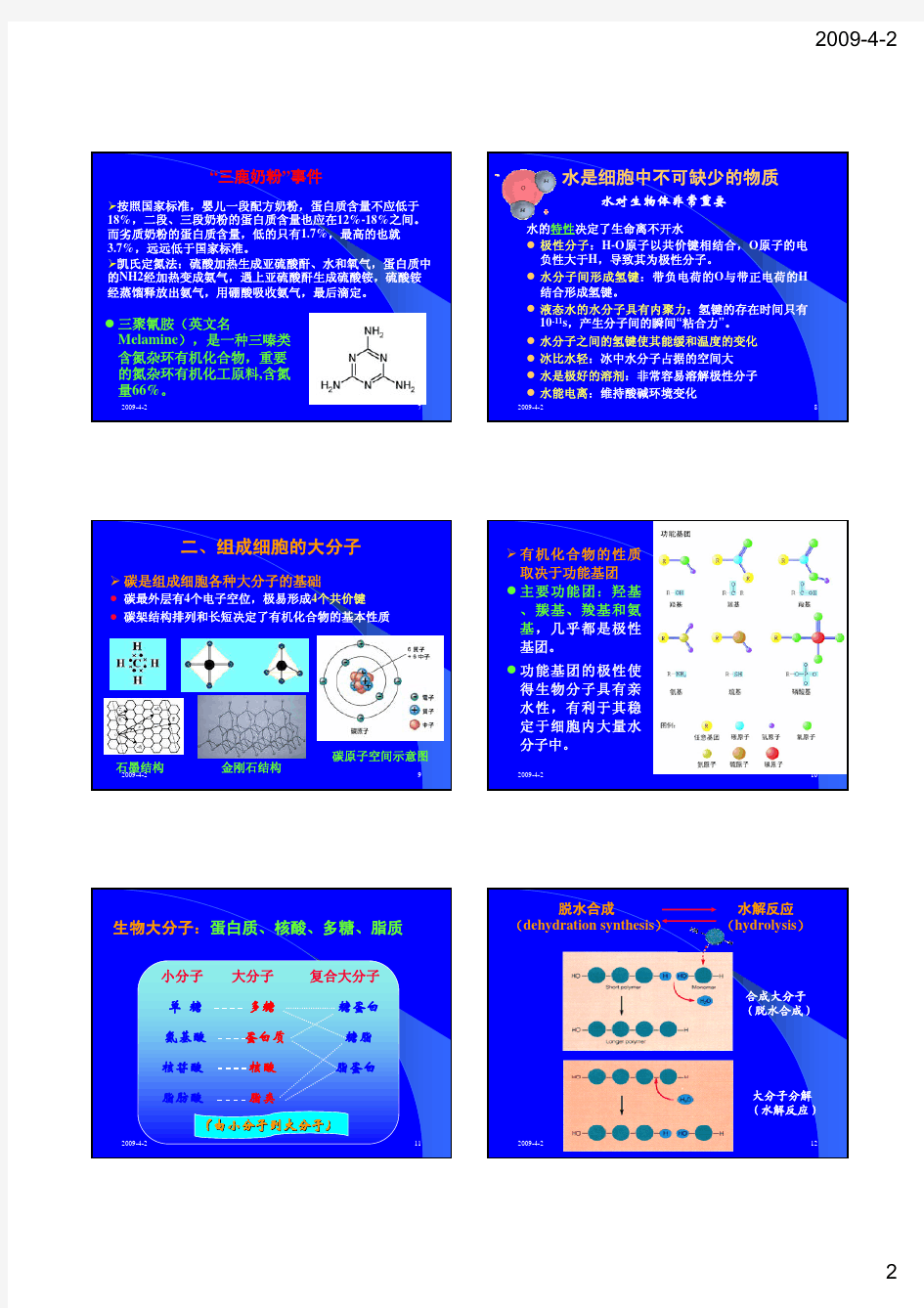 2.1. 生命的化学基础