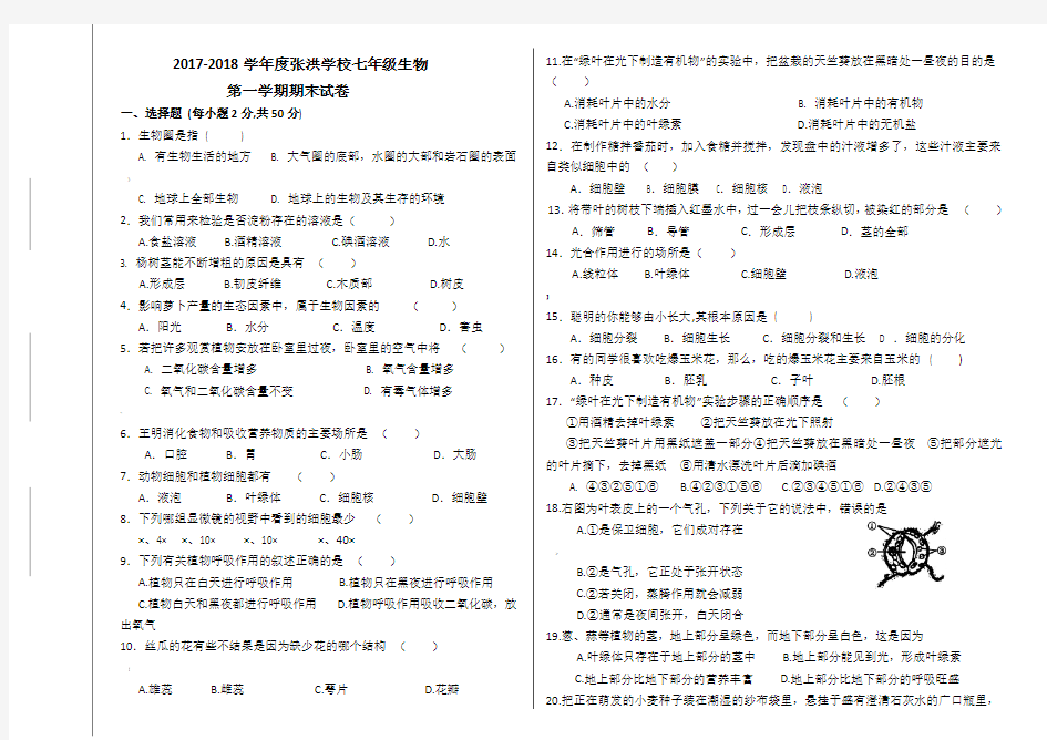 苏教版七年级上册生物期末试卷及答案