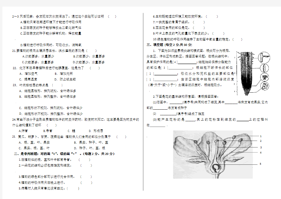 苏教版七年级上册生物期末试卷及答案