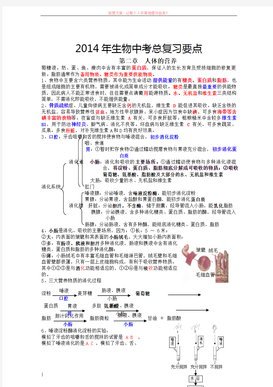 2019年宁夏初中生物中考总复习知识要点