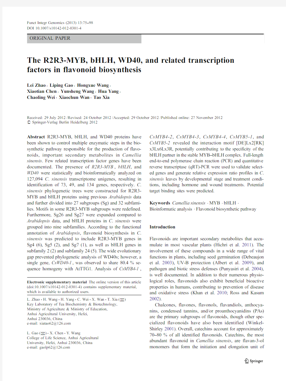 The R2R3-MYB, bHLH, WD40, and related transcription factors in