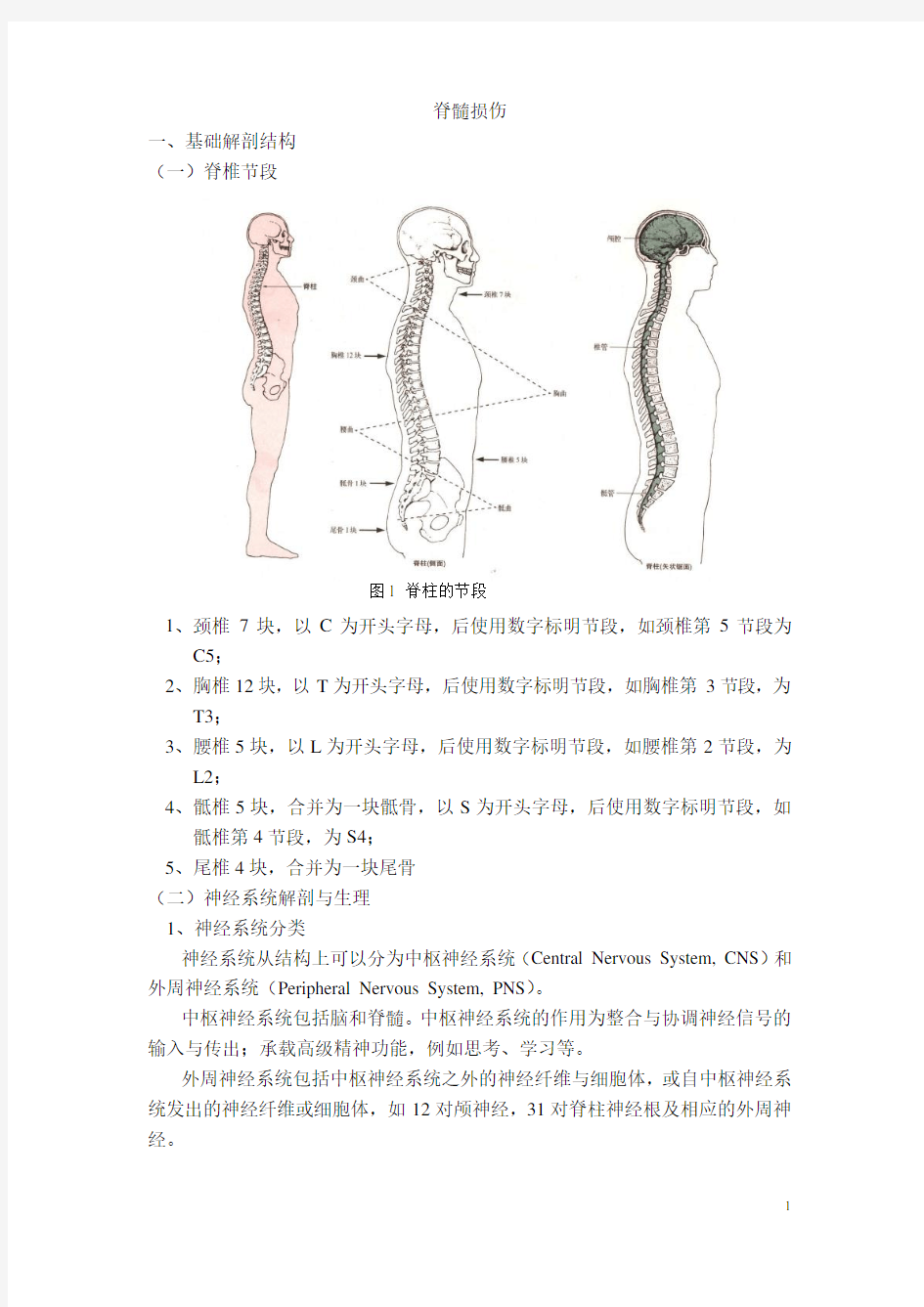 2-1 脊髓损伤概述