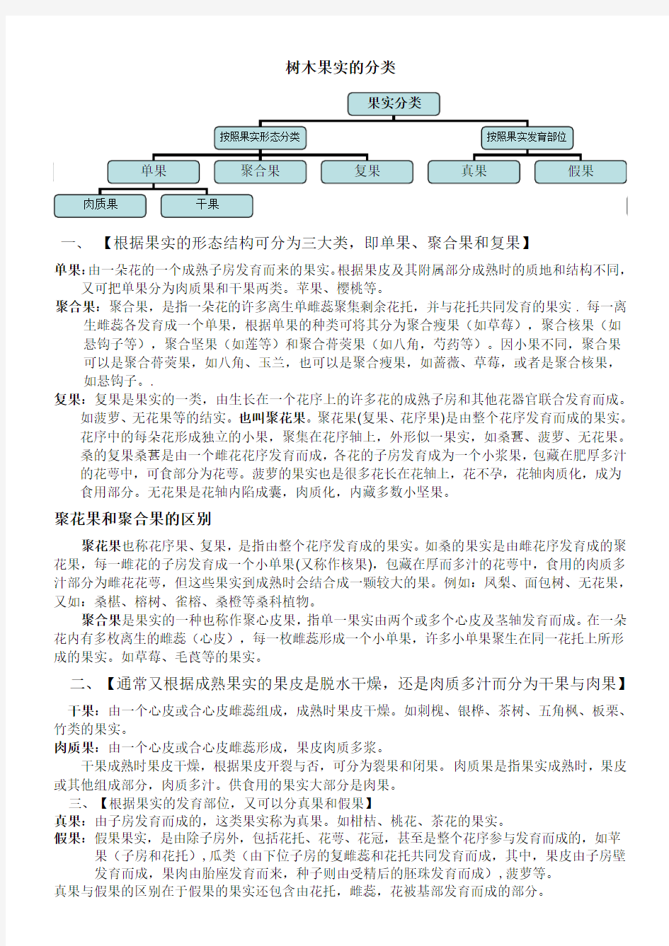 树木果实的分类