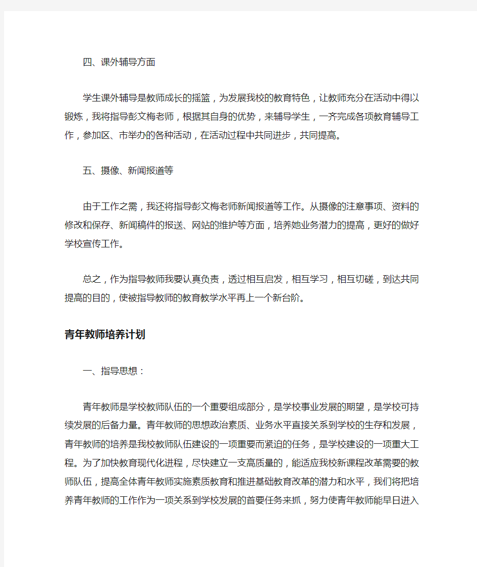 2020年青年教师培养计划