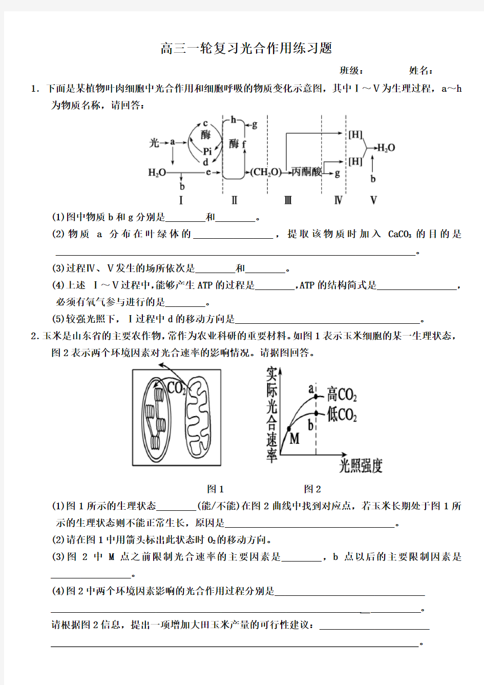 (完整)高中生物一轮复习光合作用大题带答案