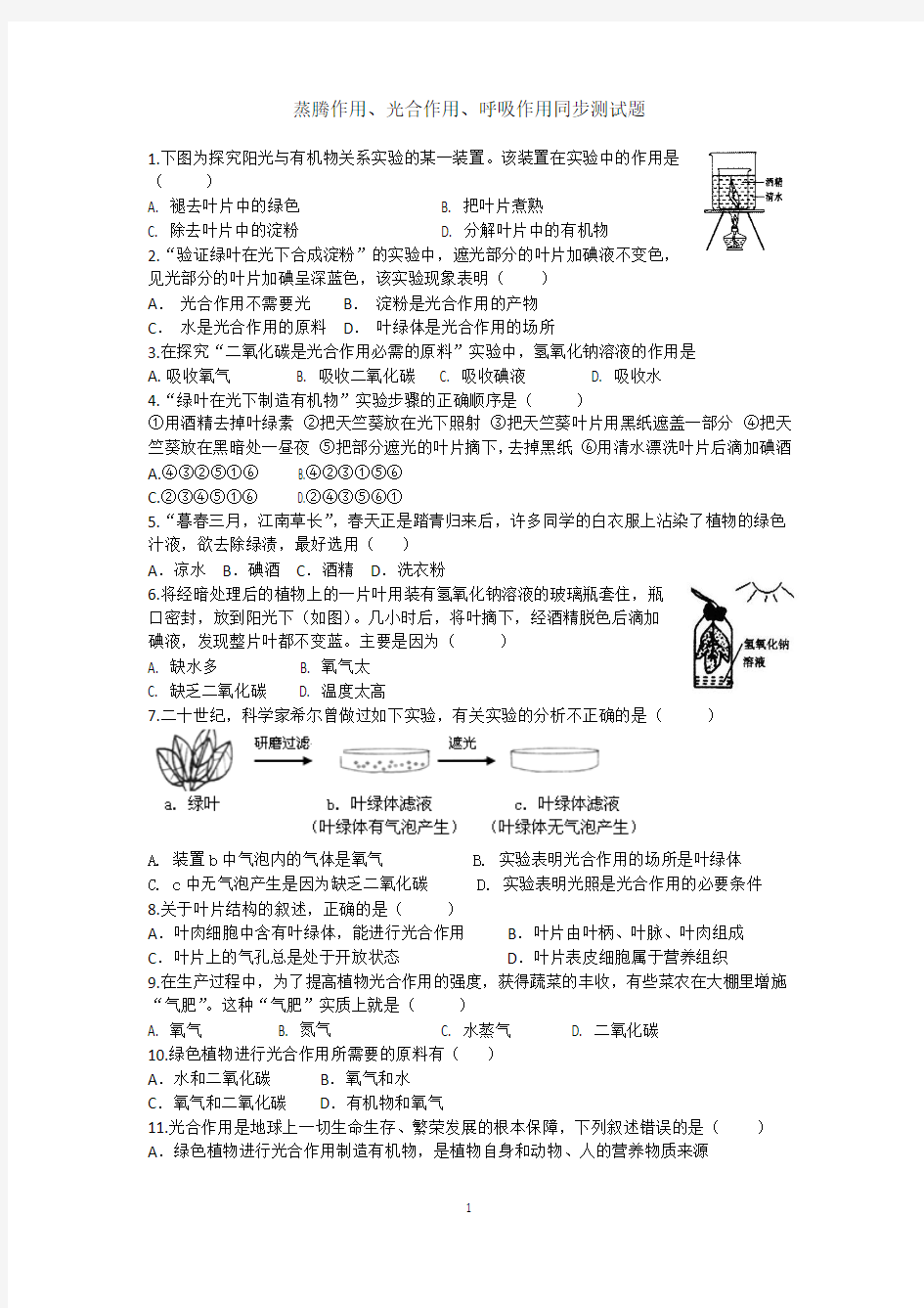 光合作用、呼吸作用、蒸腾作用