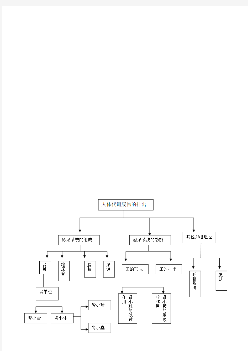 人体内废物的排出的结构图