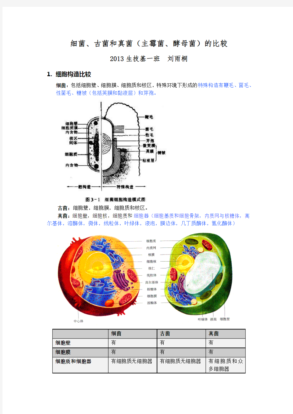 (完整版)细菌、古菌和真菌(主霉菌、酵母菌)的比较