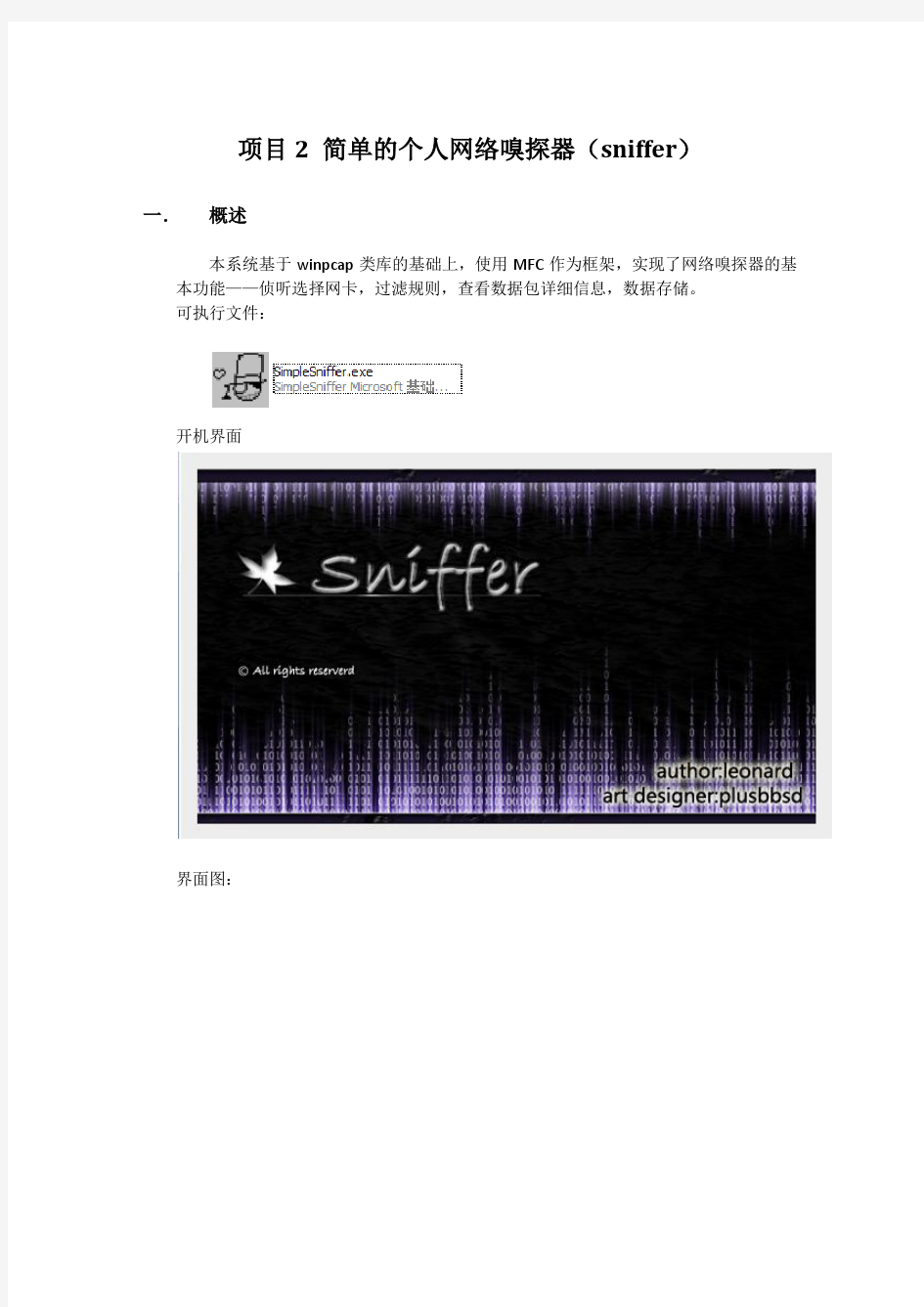 sniffer报告