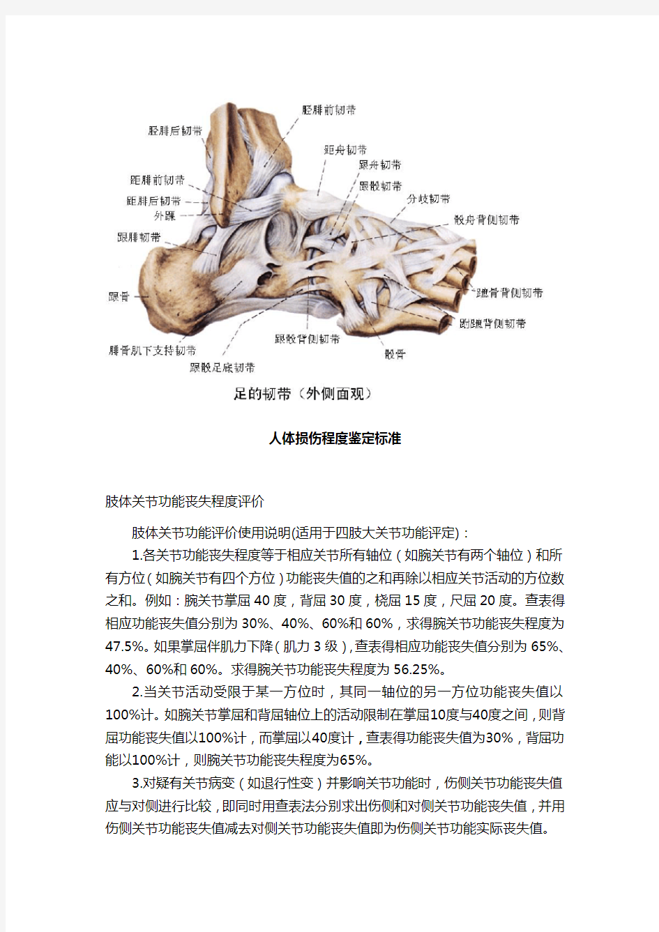 踝关节功能评分