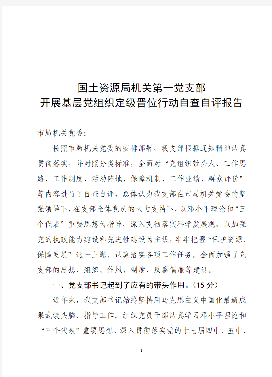 基层党支部调查摸底和分类定级自查报告