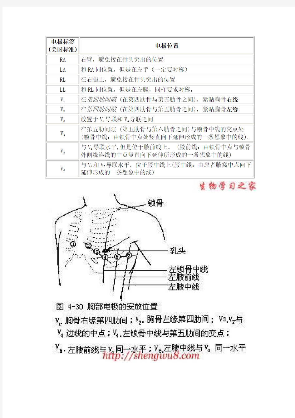 心电图导联位置