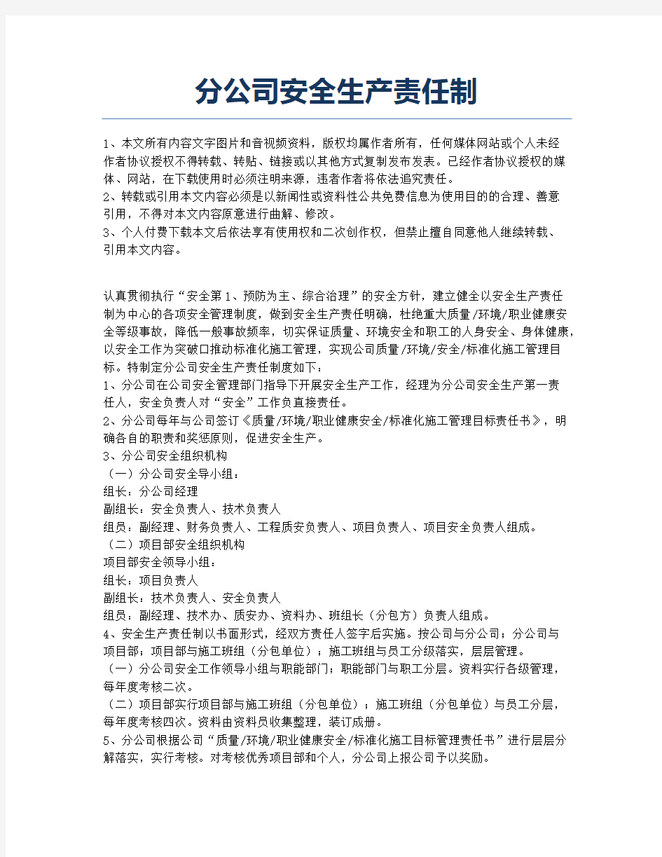 分公司安全生产责任制.docx