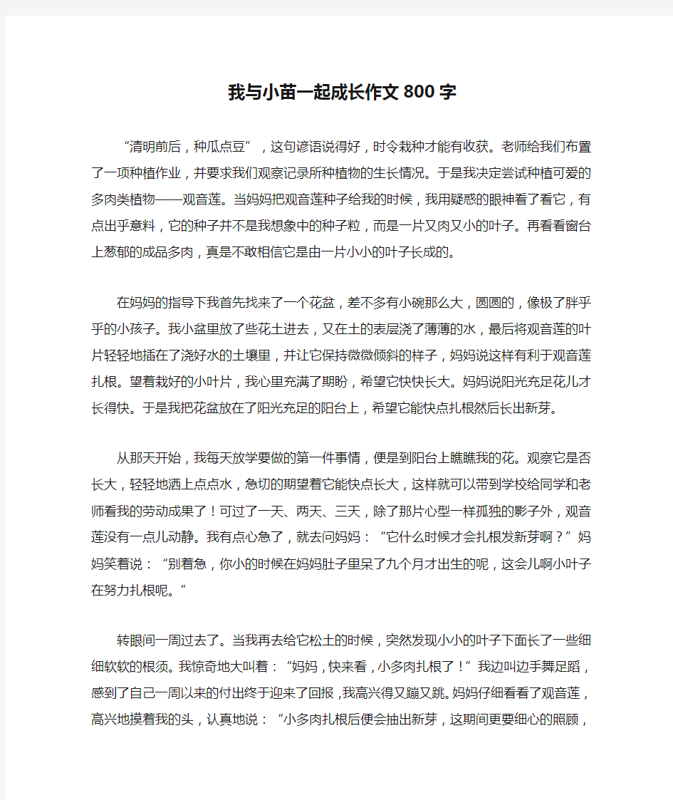 我与小苗一起成长作文800字(高分作文)