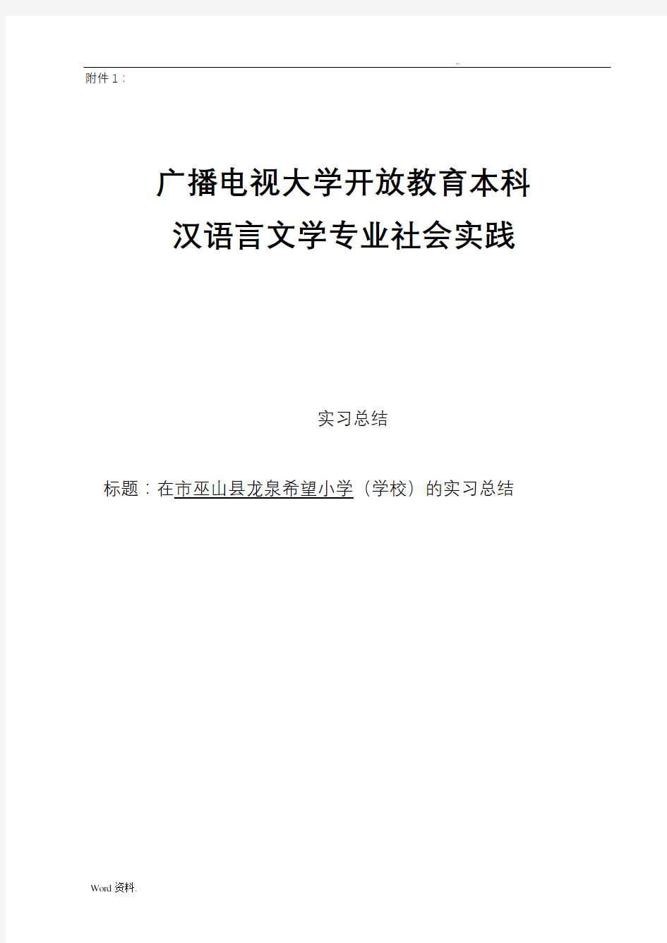 汉语言文学专业社会实践报告69346