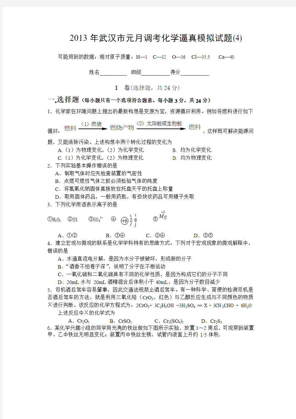 2013年武汉市元月调考化学逼真模拟试题