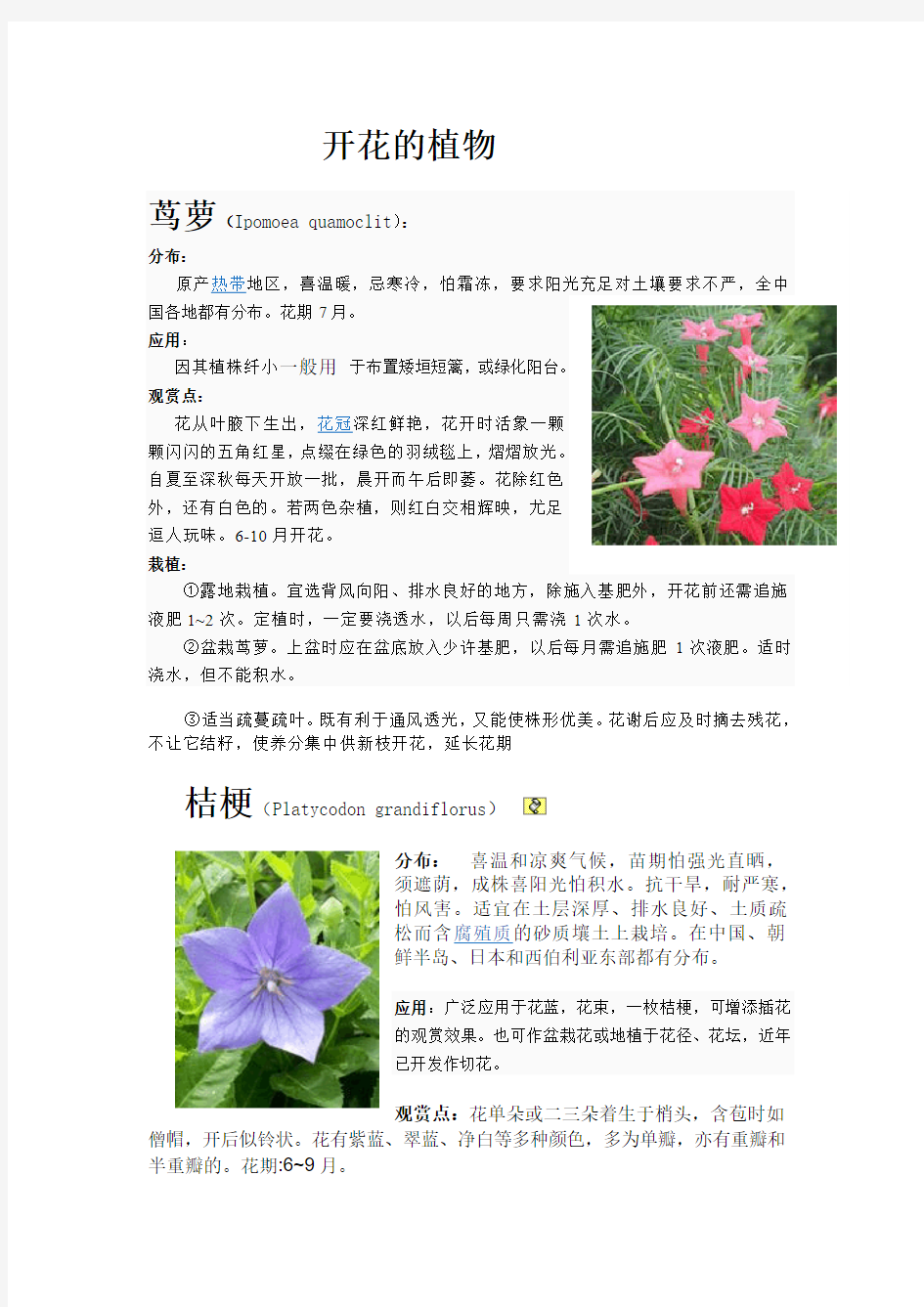 6-10月份开花植物