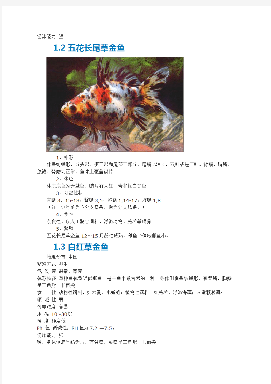金鱼种类及附图