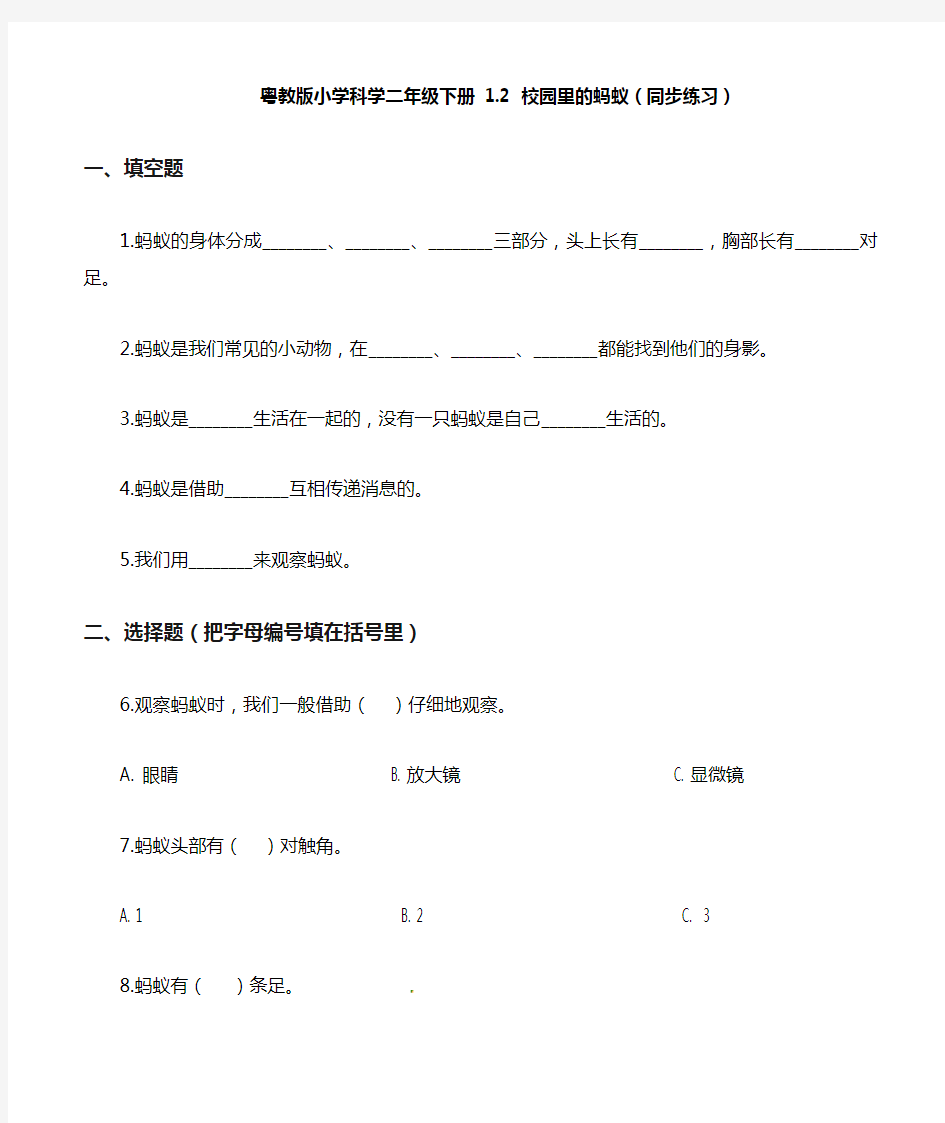 二年级下册科学一课一练-1.2校园里的蚂蚁粤教版含答案