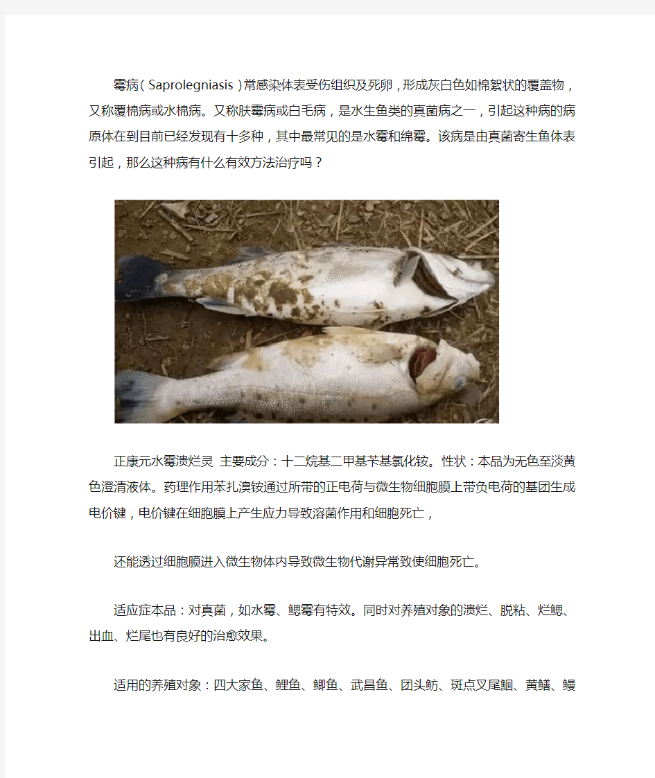 治水霉病简单的方法