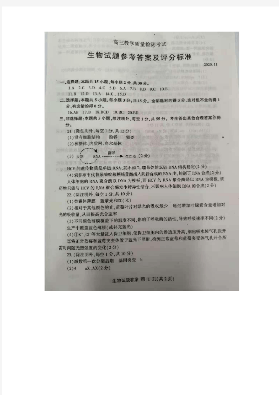 山东省临沂市2020-2021学年上学期高三期中考试生物试题答案