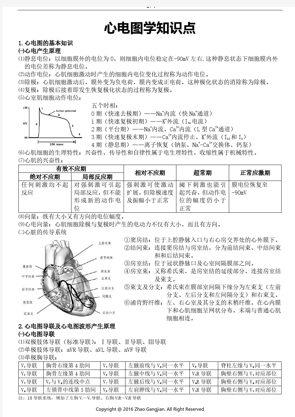 心电图学知识点