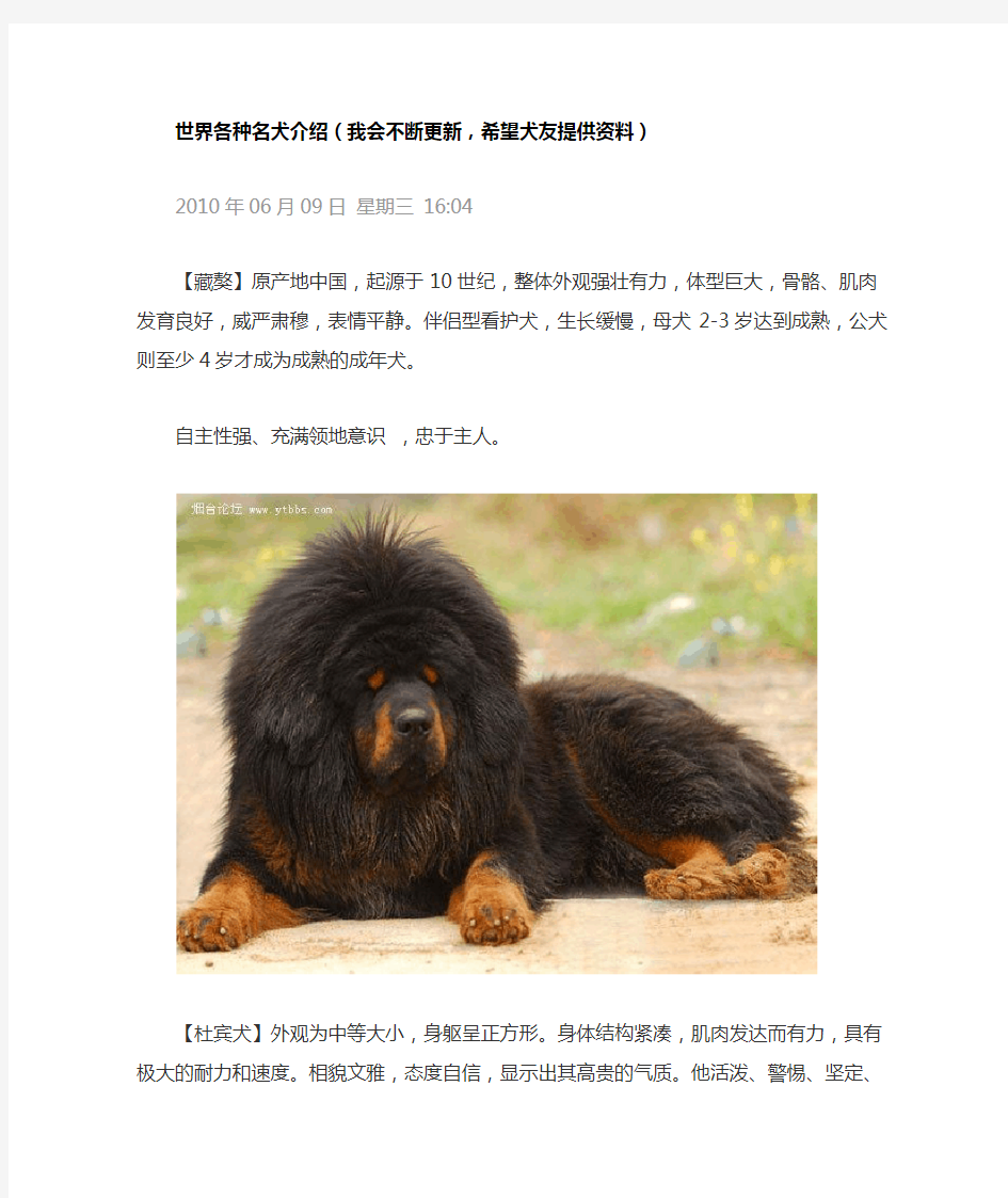 世界各种名犬介绍