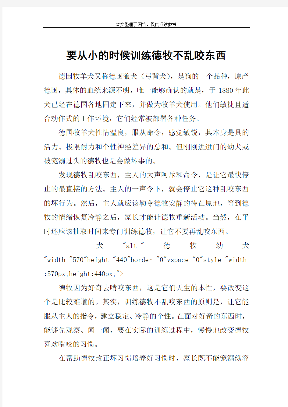 要从小的时候训练德牧不乱咬东西